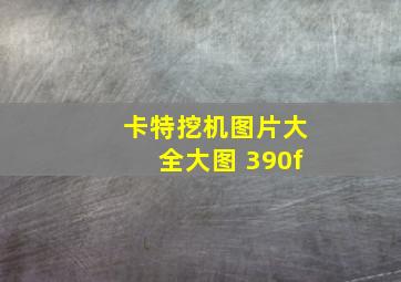 卡特挖机图片大全大图 390f